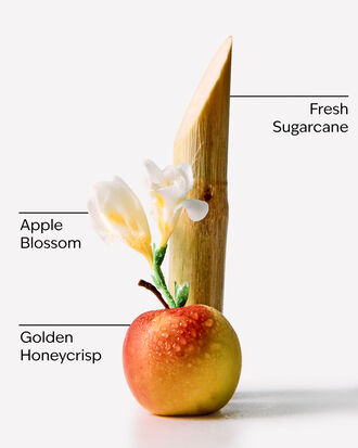 Honeycrisp Apple Wallflowers Refills 2-Pack