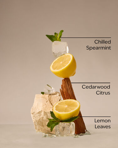 Fresh Amalfi Lemon 3-Wick Candle