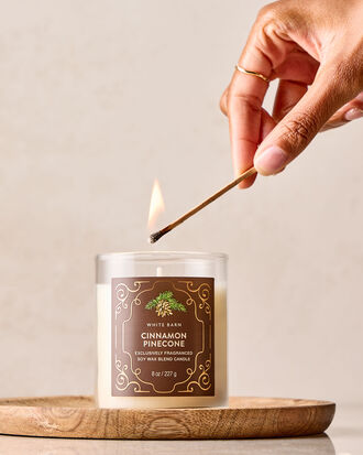 Cinnamon Pinecone Single Wick Candle