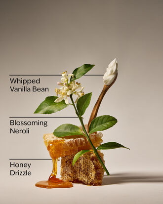 Whipped Honey &amp; Vanilla Hanging Fragrance Diffuser
