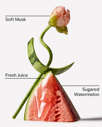 Watermelon Whirl Travel Size Perfume Mist