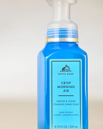 Crisp Morning Air Gentle &amp; Clean Foaming Hand Soap