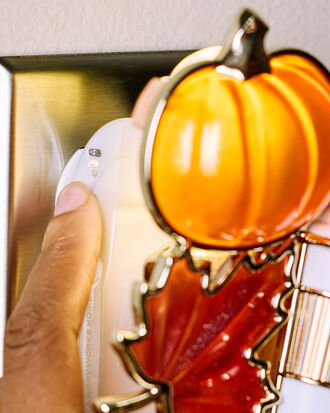 Fall Cluster Scent Control&amp;trade; Nightlight Wallflowers Fragrance Plug