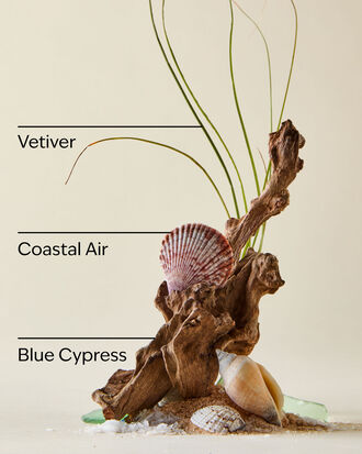 Ocean Concentrated Room Spray