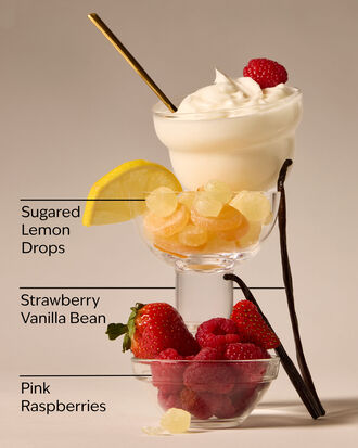 Raspberries &amp; Whipped Vanilla Single Wick Candle