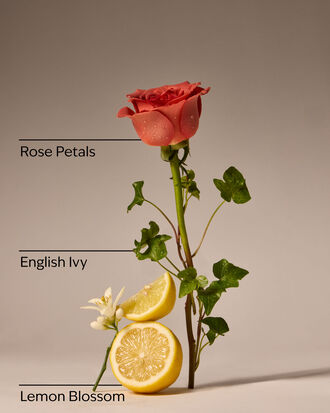 Rose Water &amp; Ivy Wallflowers Refills 2-Pack