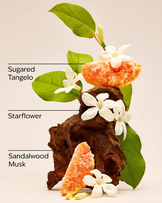 In the Stars Exfoliating Glow Body Scrub