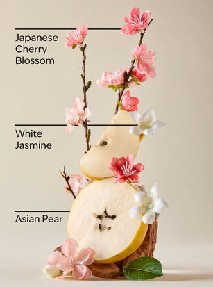Japanese Cherry Blossom Gentle &amp; Clean Foaming Hand Soap