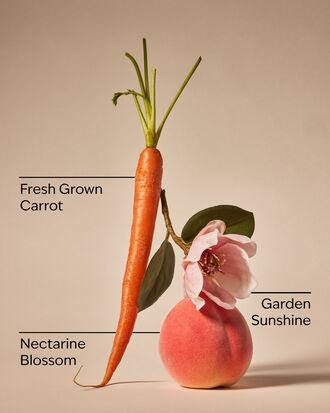 Carrot &amp; Nectarine 3-Wick Candle