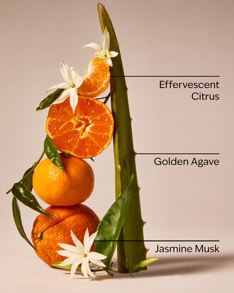 Sweet Orange &amp; Agave Single Wick Candle