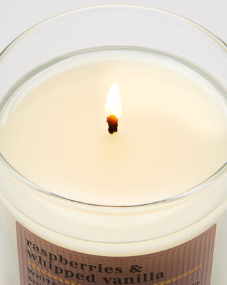 Raspberries &amp; Whipped Vanilla Single Wick Candle