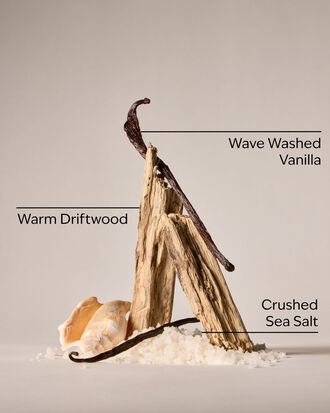Coastal Dreaming Body Lotion