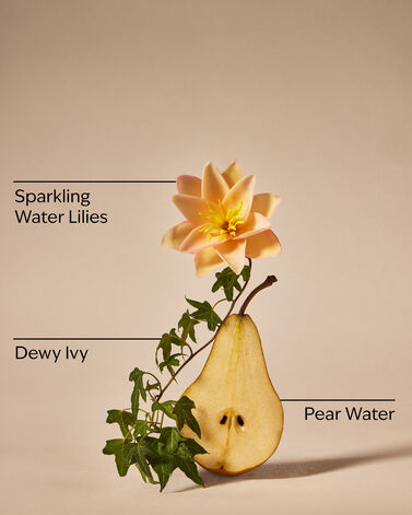 Dewy &amp; Delicate Body Wash
