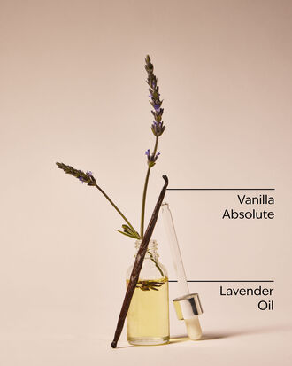 Lavender Vanilla Hand Cream