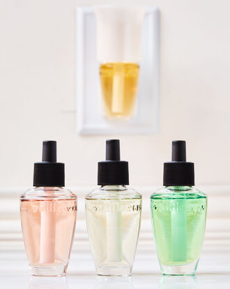 Sweet Orange &amp; Agave Wallflowers Refills 2-Pack