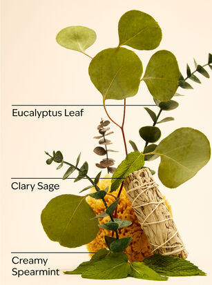 Eucalyptus Mint Gentle &amp; Clean Foaming Refill