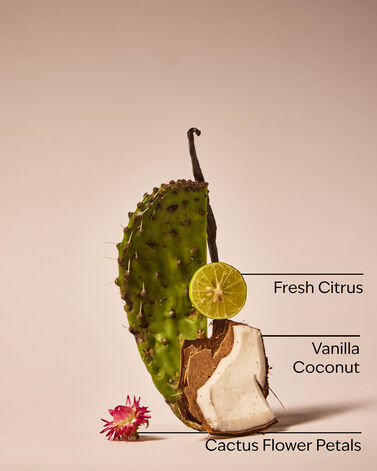 Cactus Blossom Ultimate Hydration Body Cream