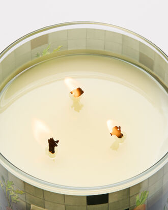 Carrot &amp; Nectarine 3-Wick Candle
