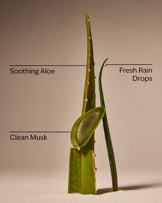 Cool Aloe Water Daily Moisturizing Hand Soap