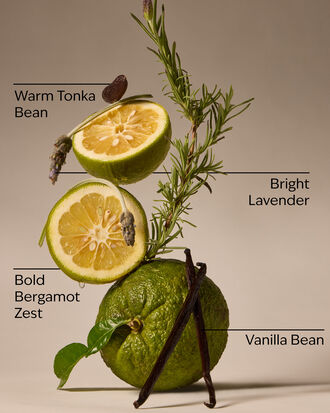 Lavender Bergamot Gentle &amp; Clean Foaming Hand Soap