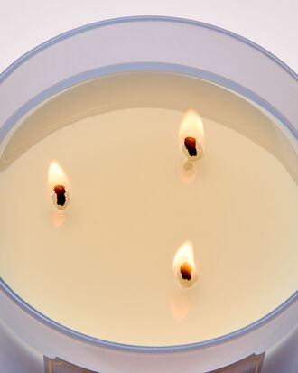 Violet &amp; Musk 3-Wick Candle