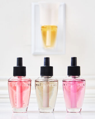 Rose Water &amp; Ivy Wallflowers Refills 2-Pack