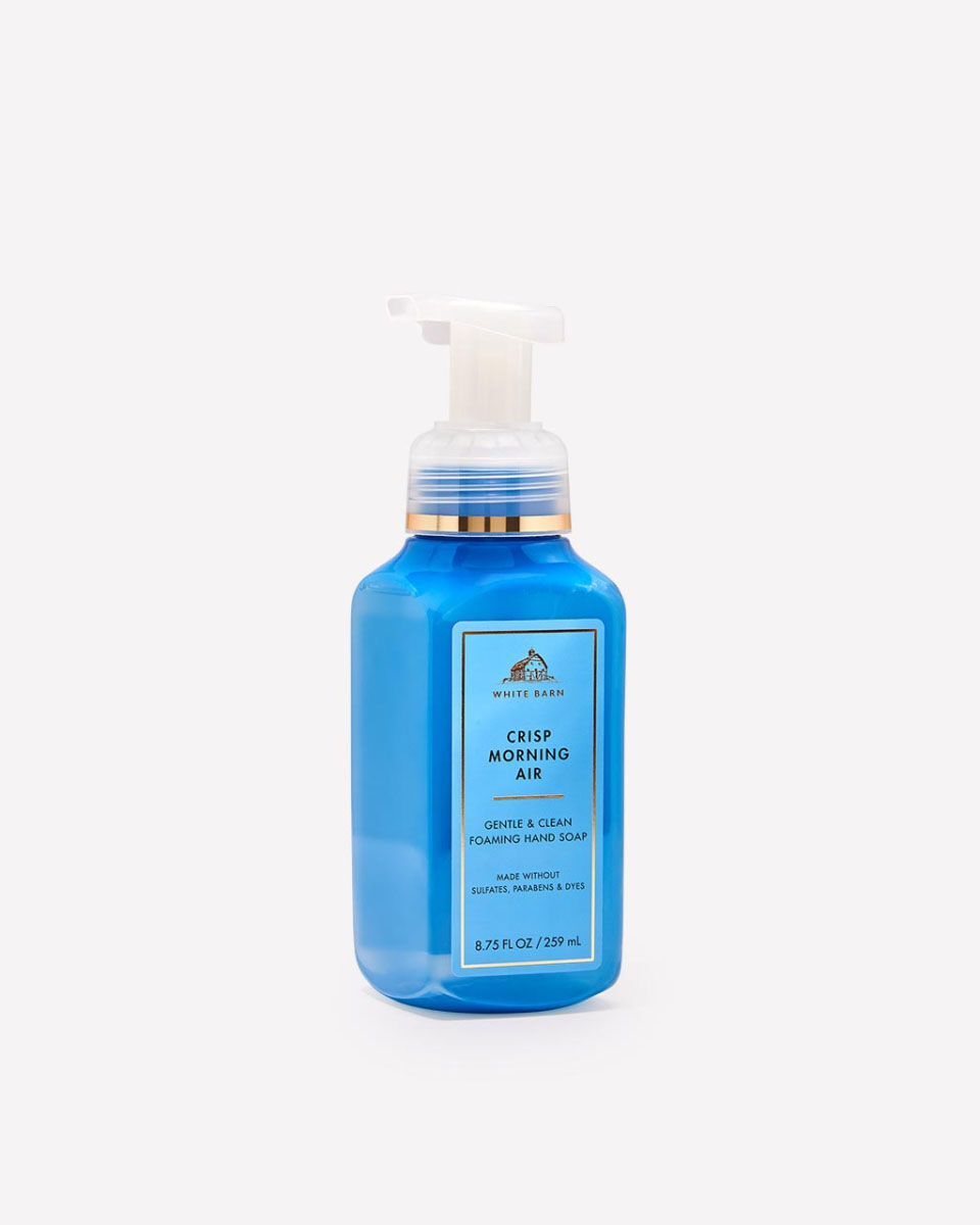 Crisp Morning Air Gentle &amp; Clean Foaming Hand Soap