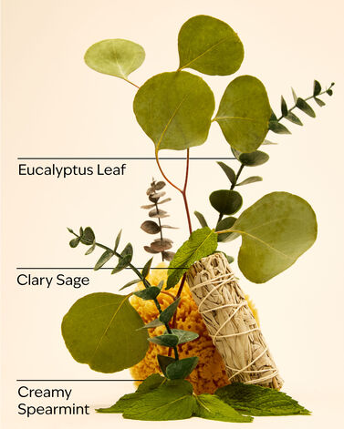Eucalyptus Spearmint Travel Size Essential Oil Mist