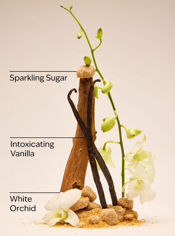 Warm Vanilla Sugar Gentle &amp; Clean Foaming Hand Soap