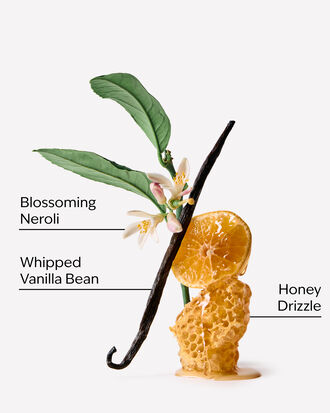 Whipped Honey &amp; Vanilla Single Wick Candle