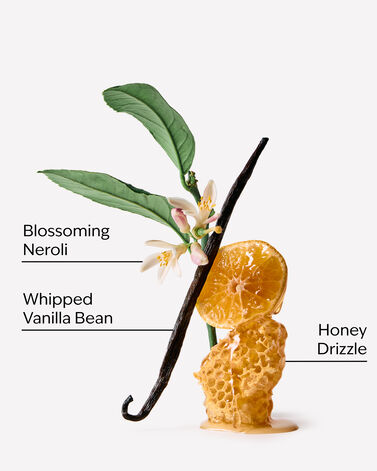 Whipped Honey &amp; Vanilla Single Wick Candle
