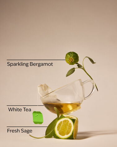 White Tea &amp; Sage Gentle &amp; Clean Foaming Hand Soap